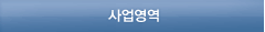 사업영역